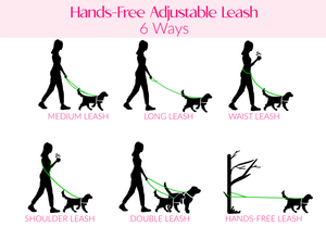 SALE • 6-Way • Hands-Free Adjustable Leash • 3/4" Wide