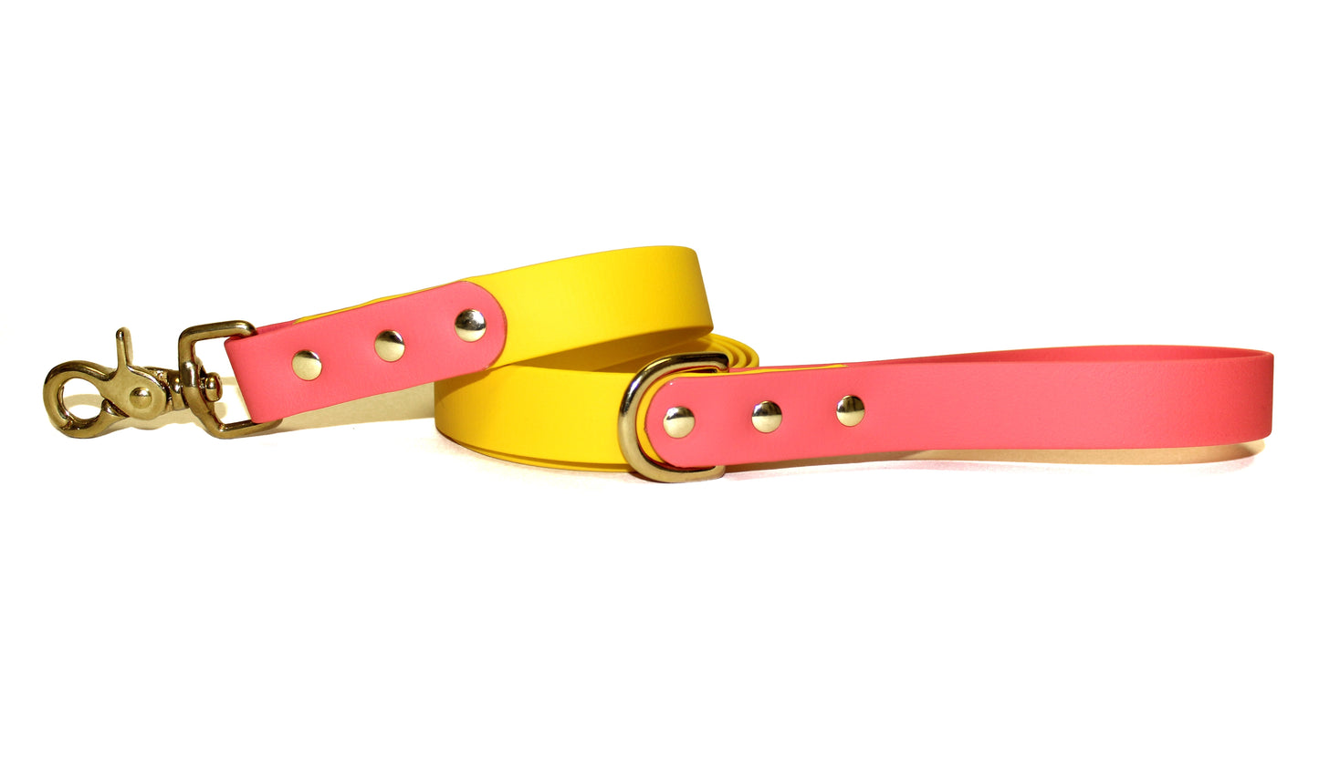 SALE • 5-Foot Leash • Pink Lemonade • 1" Wide