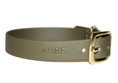 Collar & Leash Add-on • Personalized Engraving