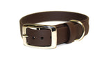 SALE • 1" Wide Classic Collars • Various Sizes & Colours • Nickel Plated
