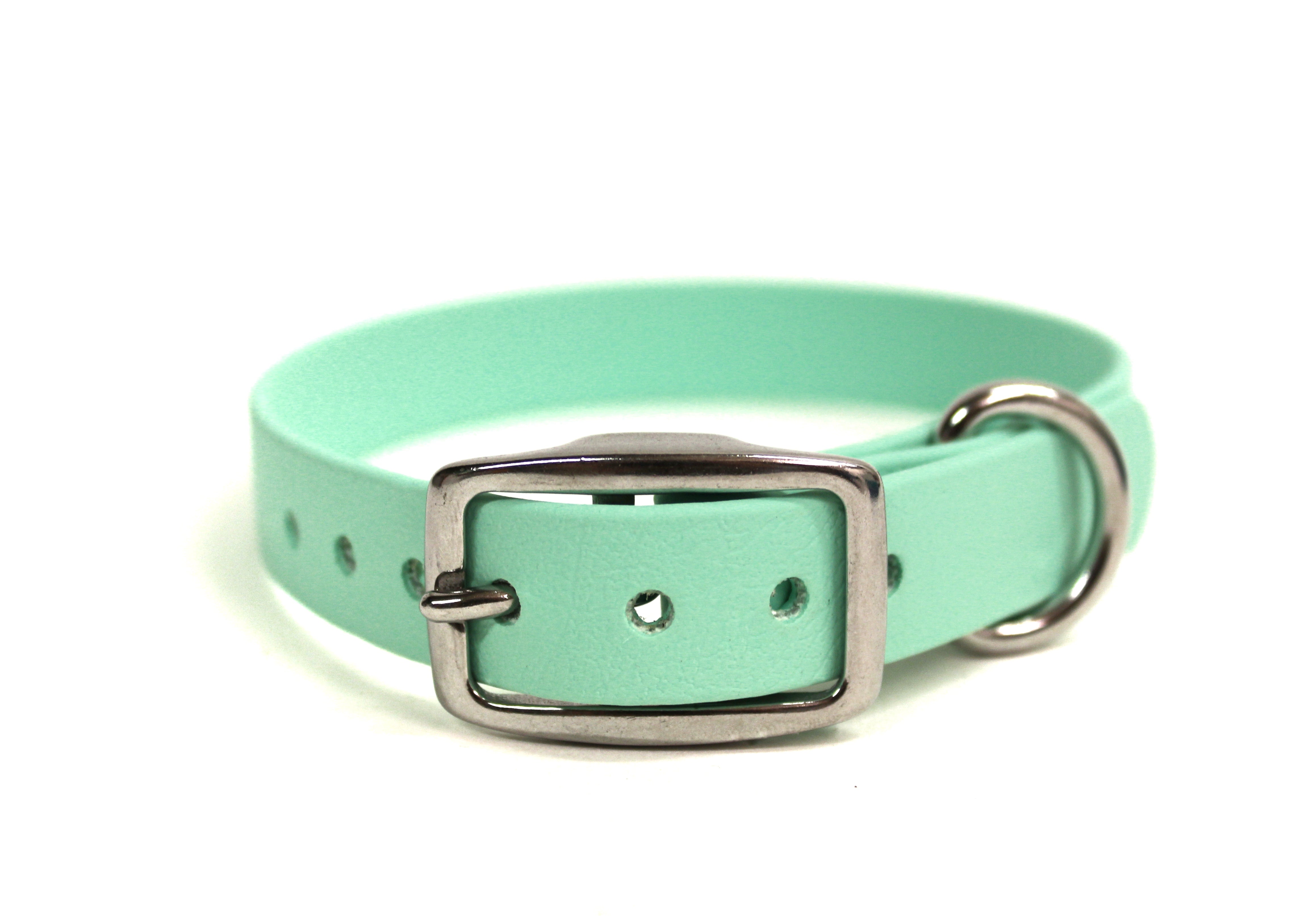 SALE • Classic Collar • Various Colours • 1/2" or 3/4" Wide