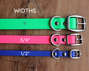 SALE • Classic Collar • Various Colours • 1/2" or 3/4" Wide