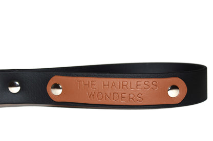 Collar & Leash Add-on • Personalized Engraving