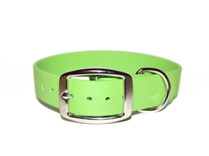 SALE • Key Lime • Classic Collar • 13-16” • Nickel Plated • 1" Wide