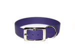 SALE • 1" Wide Classic Collars • Various Sizes & Colours • Nickel Plated