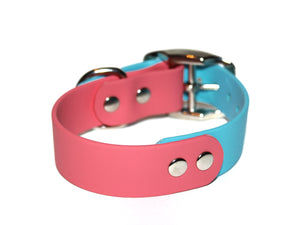 Cotton Candy & Punch • Classic Collar • Size 9"-12" • Nickel Plated • 1" Wide