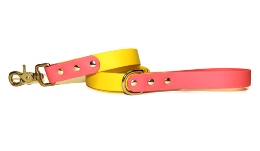 SALE • 5-Foot Leash • Pink Lemonade • 1" Wide