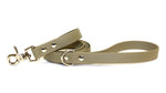 3/4" Wide Classic Leashes • 5 Feet • Various Colours • Nickel Plated