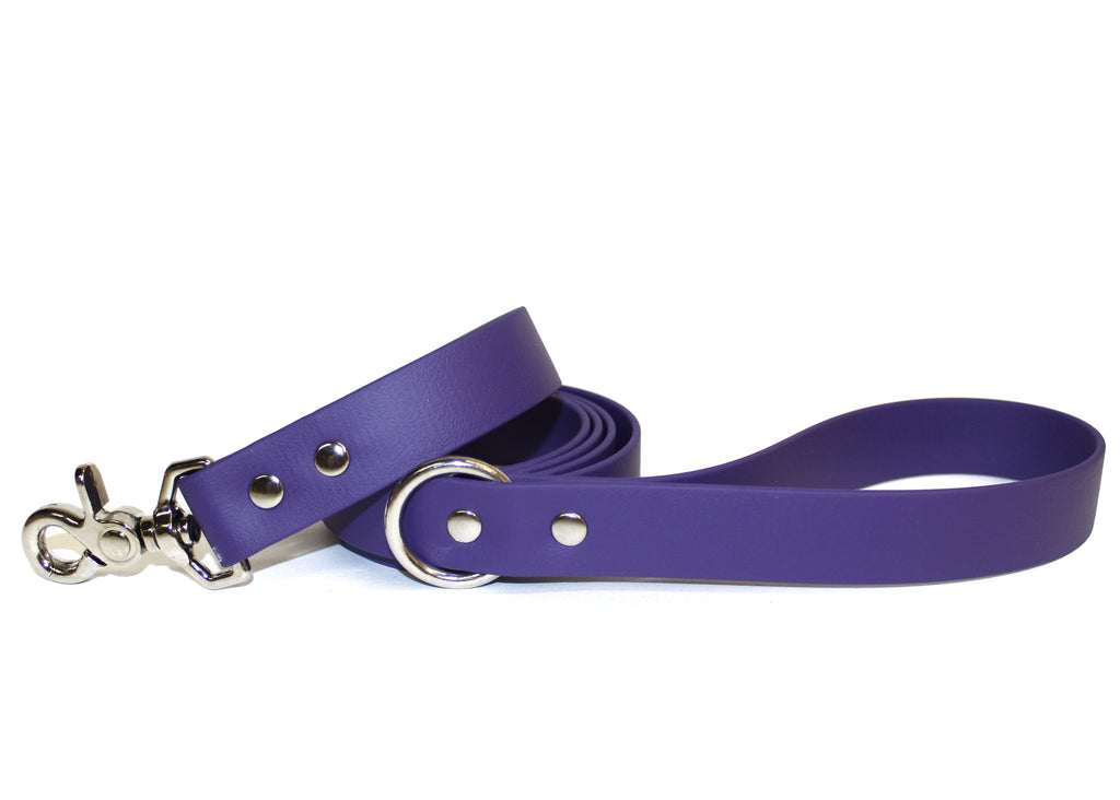 1" Wide Classic Leashes • Various Colours • Nickel Plated