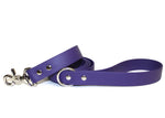 SALE • 1" Wide Classic Leashes • 5 Feet • Various Colours