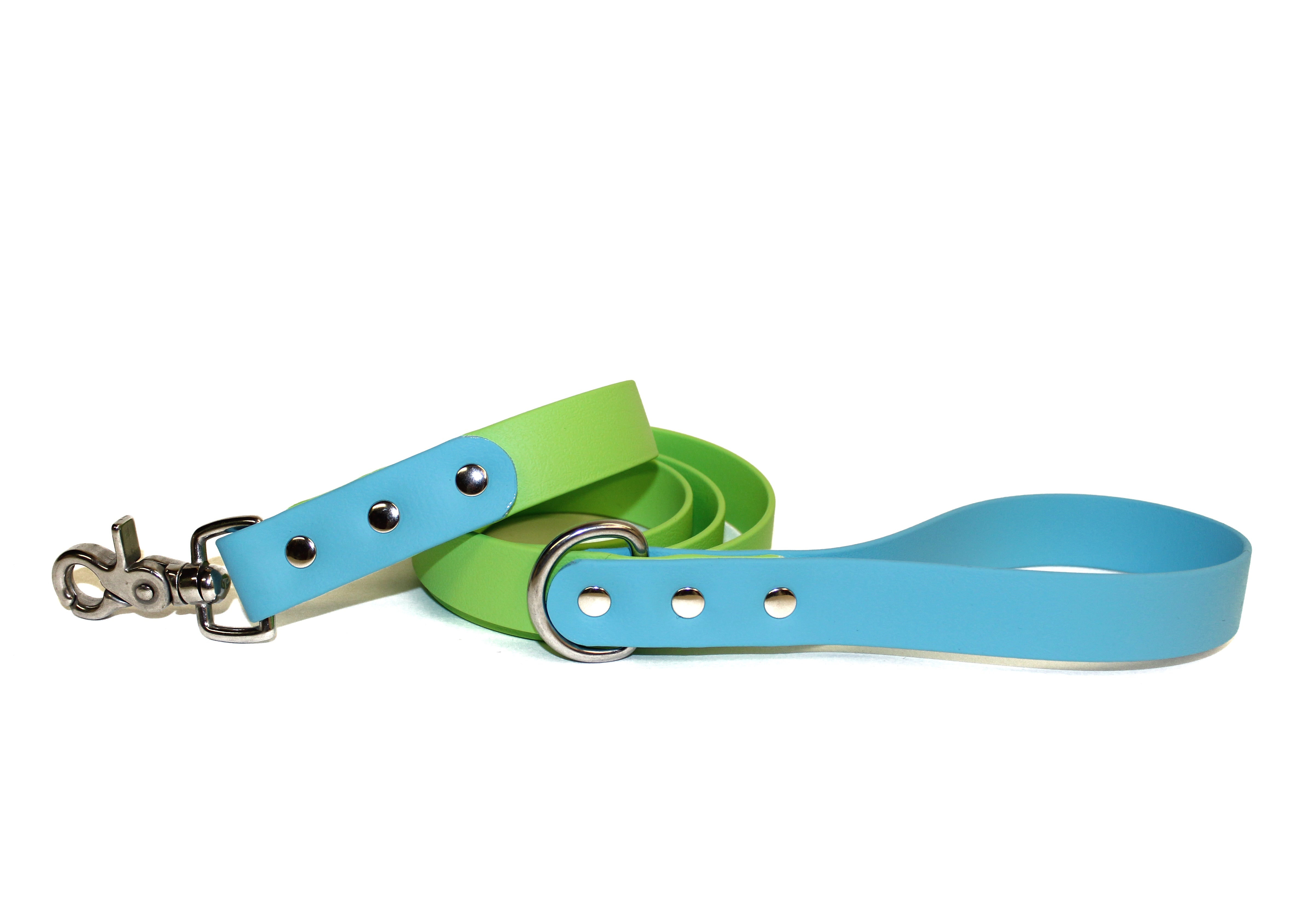 SALE • Cotton Candy & Key Lime • Classic Leash • 5 feet • Stainless Steel • 1" Wide