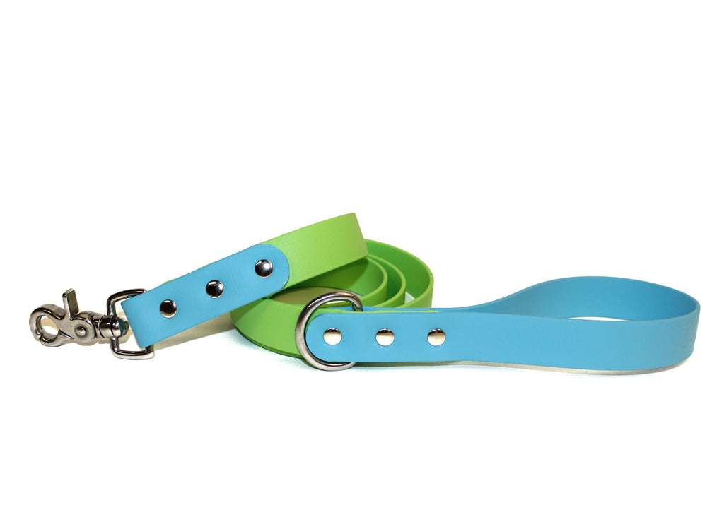 SALE • Cotton Candy & Key Lime • Classic Leash • 5 feet • Stainless Steel • 1" Wide