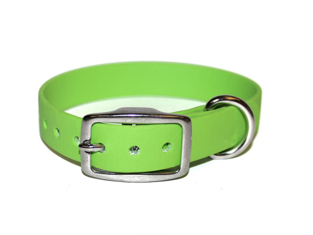 Key Lime • Classic Collar • Sizes 9-12" or 10-13" • Stainless Steel • 3/4" Wide