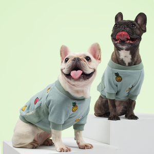 SALE • Tutti Frutti 🍌 Sweater for Small Dogs