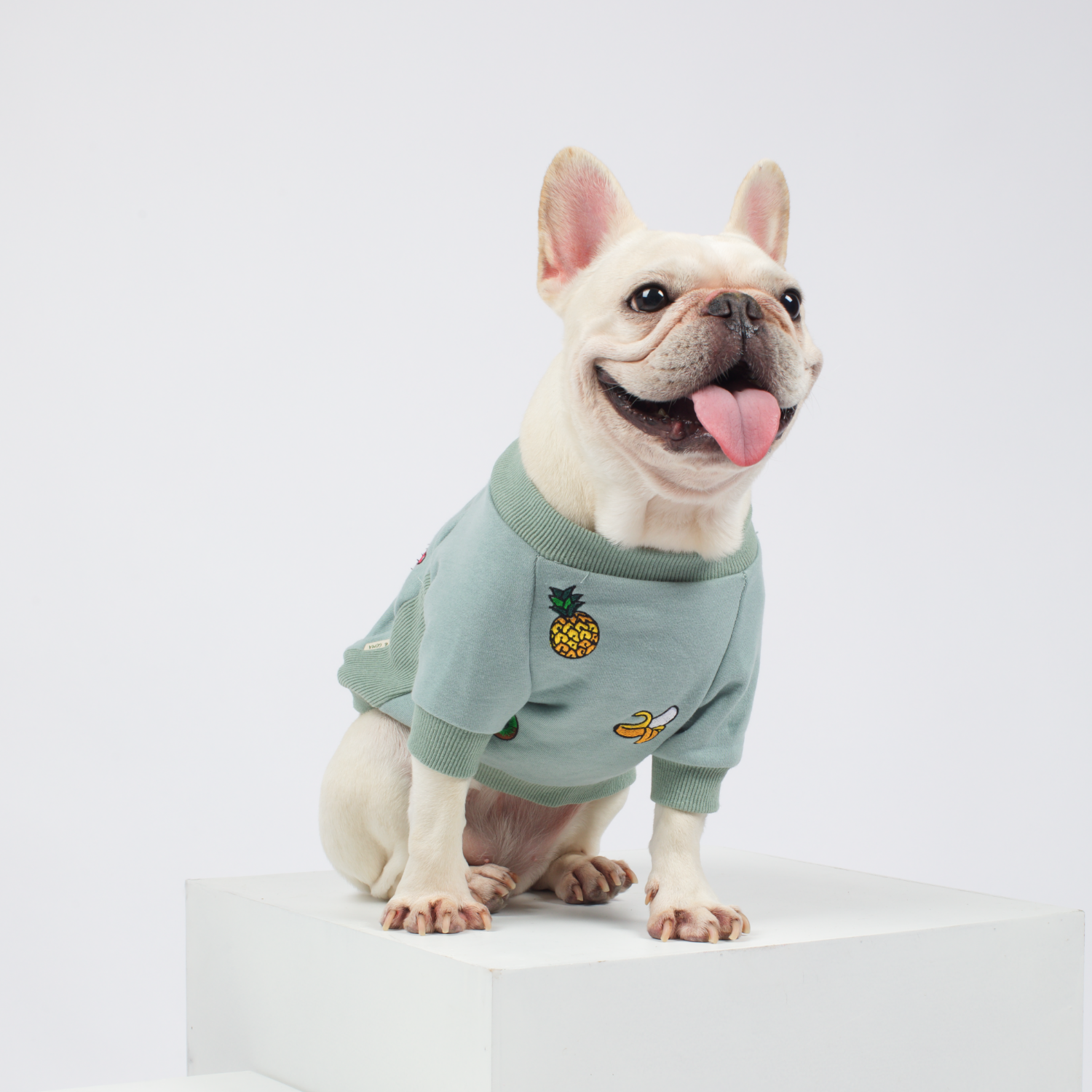 SALE • Tutti Frutti 🍌 Sweater for Small Dogs